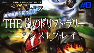 【最終回】【DS】SIMPLE DSシリーズ Vol.13 異常気象を突っ走れ!THE 嵐のドリフト・ラリー #8 グランプリ8【アシストプレイ】