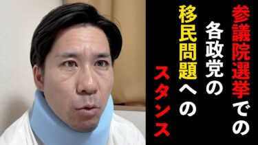 参議院選挙での各政党の移民問題へのスタンス