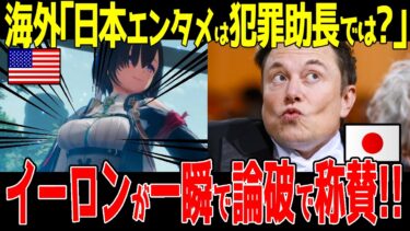 海外「日本のエンタメは犯罪助長だ！」ついに黒幕Collective Shoutが判明しイーロン氏と表現の自由戦争に!!