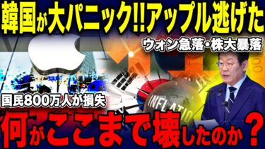 【ゆっくり解説】政治も経済もボロボロ…【海外の反応】