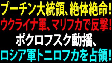 🚩【国際ニュース】プーチン大統領、完全なる危機に陥る！ウクライナ軍マリフカで反撃開始！ポクロフスク動揺、ロシア軍トニロフカを占領！JPNews 360
