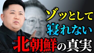 【唖然】寝る前に聴きたい北朝鮮のゾッとする真実まとめ「作業用/たっくー切り抜き」