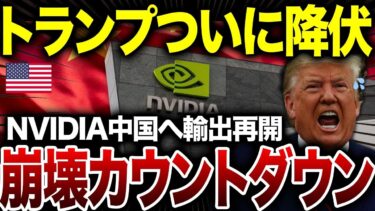 トランプついに降伏！NVIDIA中国向け半導体輸出再開でトランプ政権崩壊カウントダウン開始【総集編】