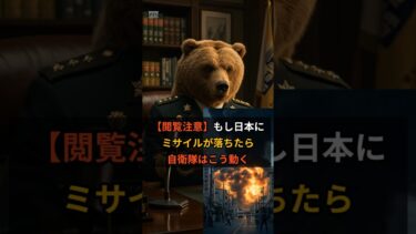 熊陸将 【閲覧注意】もし日本にミサイルが落ちたら、自衛隊はこう動く