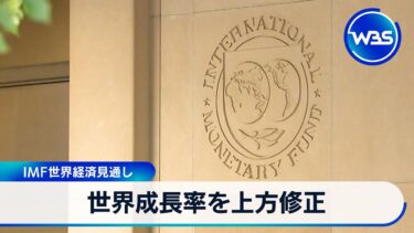 世界成長率を上方修正　IMF世界経済見通し【WBS】