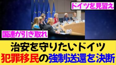 ドイツが“犯罪移民”送還へ！←国連「犯罪者の人権を守れ」←は？