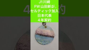 7月20日　今日の経済ニュースです。#インフレ対策 #インフレ #コロナ #フェンタニル #ふるさと納税 #備蓄米 #g20 #taco