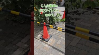 こんな厳重なセブンイレブンある？#セブンイレブン #移民問題  #川口市 #蕨駅 #外国人問題
