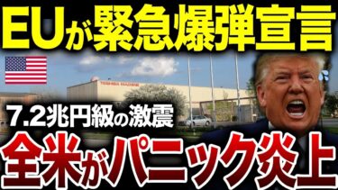 日欧、ついに“半導体同盟”を結成！EUが東芝と結んだ「米国排除」の契約に、全米が大パニック！【海外の反応】