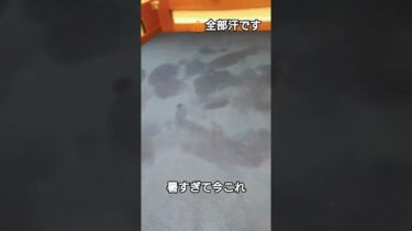 暑すぎて今これ＃暑すぎ＃地球温暖化＃ライラック