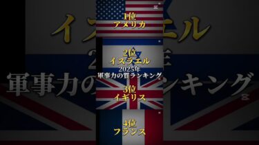 前の動画とどっちの方がいい？ #軍事力 #国学