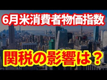 【米国経済】解説6月米消費者物価指数！関税の影響はどうなったのか！