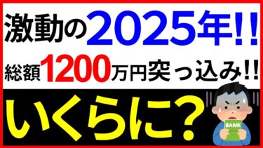 【半年過ぎた！】2025年激動の株式市場の中、結局資産は増えたのか？減ったのか？