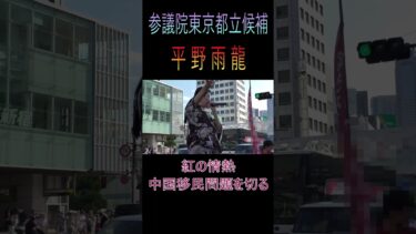 平野雨龍 紅の情熱 中国移民問題を切る