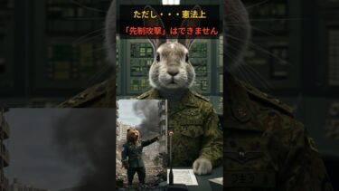 ウサギ解説　【緊急】北のミサイルが日本に着弾したら？自衛隊はこう動く！