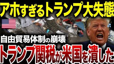 世界経済、ついに“ルールなき時代”に突入！トランプの関税戦争が、自由貿易体制を、木っ端微塵に粉砕した【海外の反応】