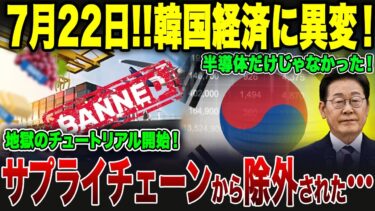 【海外の反応】誰も助けない…地政学的“経済死刑”が開始！【ゆっくり解説】