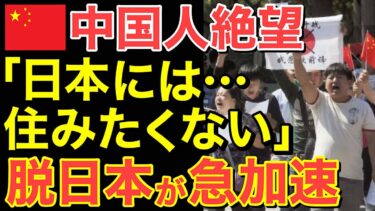 【海外の反応】日本に長くいられない…在日中国人の愚痴が反響で脱日本が急加速！【にほんのチカラ】