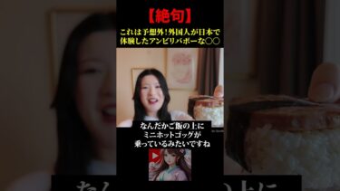 【海外の反応】絶句！これは予想外！外国人が日本で体験したアンビリバボーな〇〇