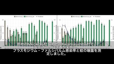 気候変動がマラリア再流行を招く：タンザニア18年間追跡調査が示す新たな脅威