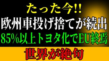 仏国民がEV拒否！全真相！トヨタ狂乱購入で世界震撼！日本車勝利の裏側！