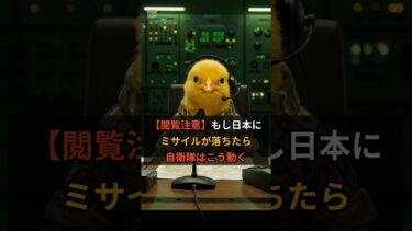 ヒヨコ解説 【閲覧注意】もし日本にミサイルが落ちたら、自衛隊はこう動く