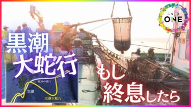 不漁や猛暑・ゲリラ雷雨への影響は…『黒潮大蛇行』ついに終息か 期待の声高まるも「いいこと尽くめ」は難しく