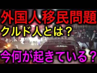 【外国人問題】クルド人問題と移民政策の問題！日本で今何が起きている？【JAPAN 日本の凄いニュース 光岡克己の政経社会】