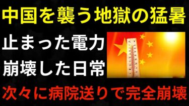 【異常気象】中国を襲う地獄の猛暑…失神者続出、電力途絶で都市機能完全崩壊の真相【ゆっくり解説】