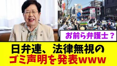 【衝撃】日弁連、移民問題に関しクルド人擁護と捉えうる法律無視のゴミ声明を発表してしまう…【反応集】