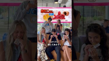 🇯🇵日本の駄菓子をサンディエゴで試食してみた！