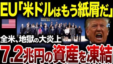 これが、日欧の“アメリカ外し”だ！東芝と結んだ半導体協定、その「米国排除」という、恐るべき真の狙い【海外の反応】