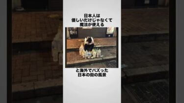 日本の酔っ払いへの海外の反応 #海外の反応