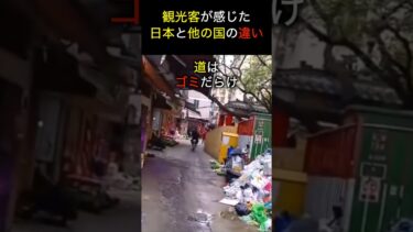 旅行で感じた日本との違い… #日本  #海外の反応 #旅行