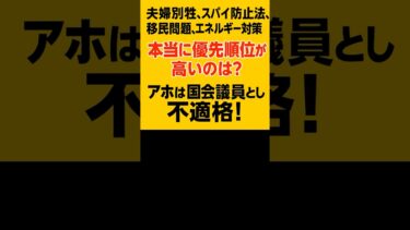 夫婦別姓、スパイ防止法、移民問題、エネルギー対策…本当に優先順位が高いのは？　#日本保守党 #参政党 #スパイ防止法 #移民問題 #エネルギー政策