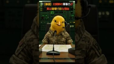 ヒヨコ解説 【暴露】北朝鮮の軍事力が“実は崩壊寸前”な理由