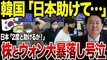 【ゆっくり解説】韓国経済がガチでヤバすぎる！株もウォンも大暴落で財務大臣が日本にヘルプ要請。しかし日本に拒絶され韓国大号泣。
