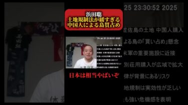 【外国人問題】浜田聡 日本の土地規制法に警鐘を鳴らす #政治 #税金 #減税日本 #移民問題 #外国人問題 #土地規制 #不動産 #浜田聡
