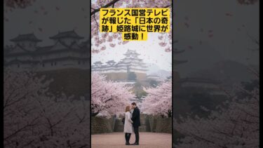 【海外の反応】フランス国営テレビが報じた「日本の奇跡」姫路城に世界が感動！