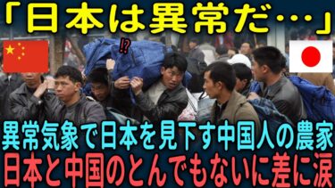 【海外の反応】「日本は異常だ…」異常気象で日本を見下す中国人の農家が日本と中国のとんでもないに差に涙
