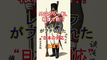 【ペリーより40年早く来航！】外交から一転、報復寸前!? レザノフがブチ切れた“日本の対応”とは？ #歴史 #日本史 #長崎 #ロシア #レザノフ