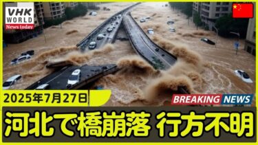 深夜の恐怖：河北省で橋が崩落、多数の行方不明者  #自然災害 #海外の反応