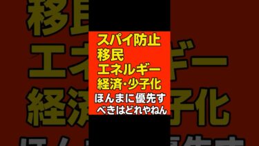 スパイ防止・移民・エネルギー・経済・少子化ほんまに優先すべきはどれやねん！   #スパイ防止法 #移民問題 #エネルギー政策 #経済対策 #少子化対策