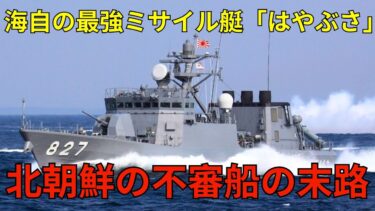 【世界騒然】北朝鮮の不審船を“秒”で撃破！海自「はやぶさ型」が見せた衝撃の実力とは！？【ゆっくり解説】