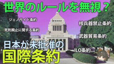 日本が未批准の国際条約とその理由【ゆっくり解説】