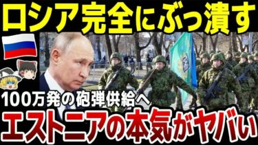 【ゆっくり解説】エストニアが砲弾100万発を供与へ！ウクラへ続々と集まる支援にロシア大恐慌。