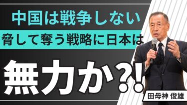 「軍事力は戦争のためじゃない！“外交の武器”だという現実」