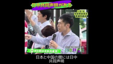軍事力で物事は何も解決しない。台湾海峡有事が心配。中国と日本には日中共同声明がある。アメリカ言いなりもやめる。中国にも米国にもはっきり言う。日本共産党は党を作って100年反戦平和を掲げてきた。#山添拓