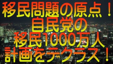 【ゆっくり解説】移民問題の原点！自民党の移民1000万人計画をデクラス！