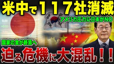 【ゆっくり解説】世界が今、静かなる日本を選ぶ理由！【海外の反応】